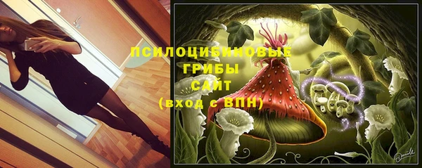 экстази Алексин