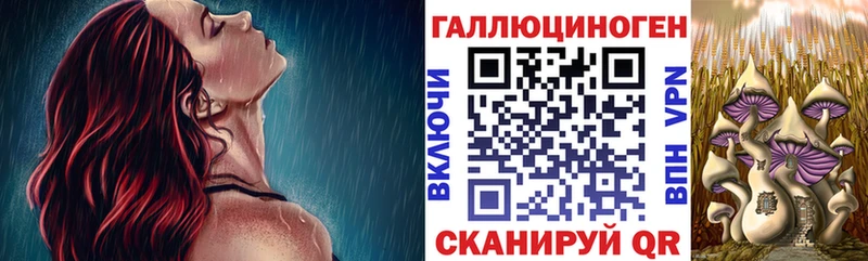 где купить наркоту  ОМГ ОМГ ссылки  Псилоцибиновые грибы Magic Shrooms  Новосиль 